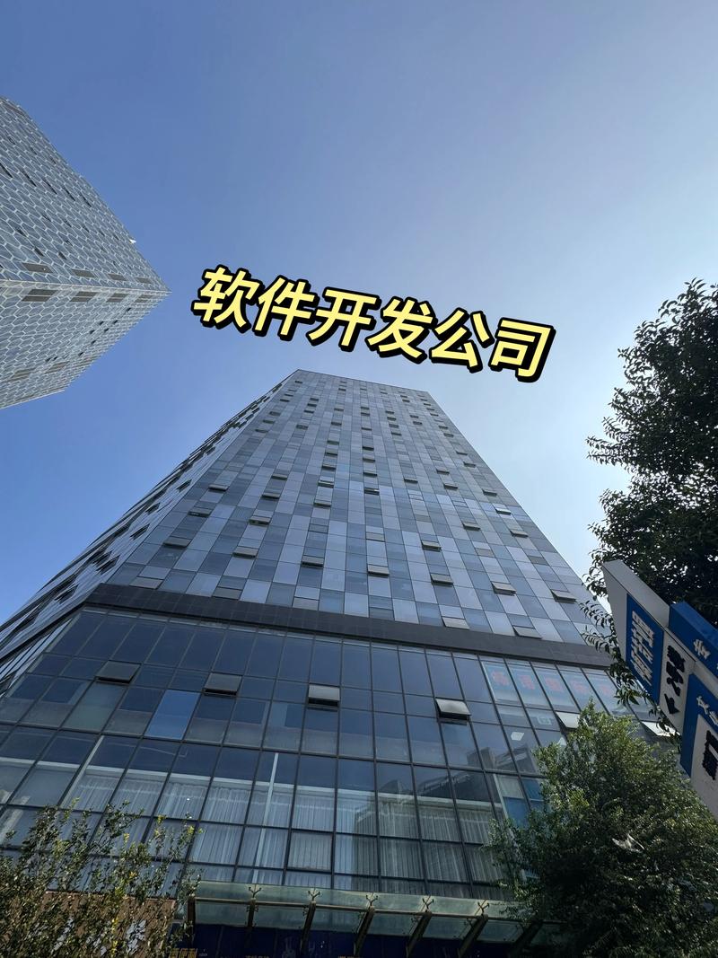 软件定制开发:为企业量身打造信息化解决方案